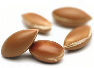 argan nuts