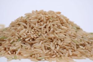 brown rice for digestion