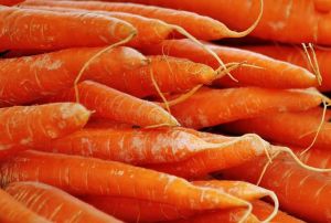 carrots for digestion