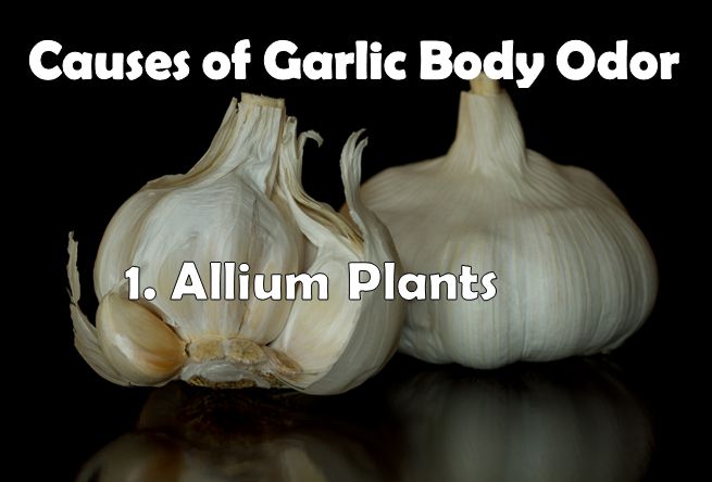 causes of garlic body odor