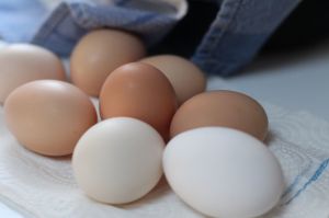 chicken eggs and duck eggs