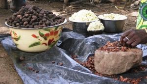 shea butter extracted from nuts