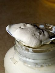 yogurt yeast infection