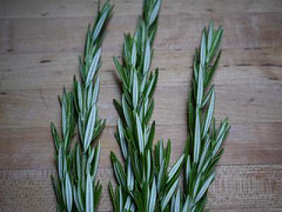 rosemary face mask acne treatment