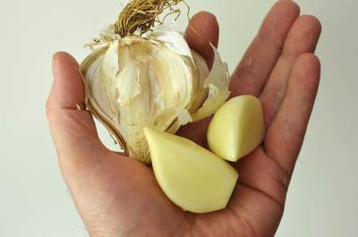 garlic for warts