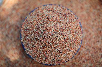 health benefits of sorghum or jowar