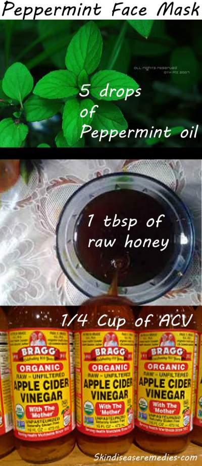 5 Diy Peppermint Face Mask Recipes And Benefits No2 Is Best 7501