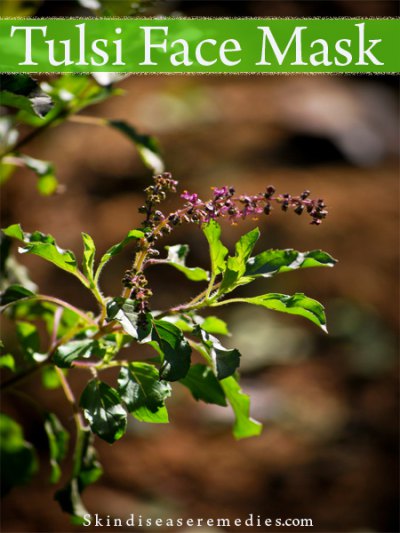 tulsi face pack