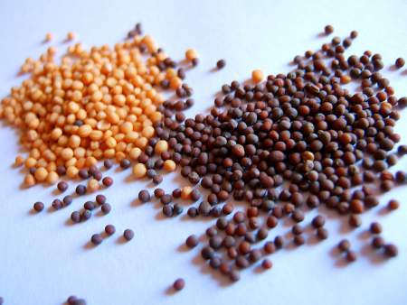 mustard seed oil for skin tightening