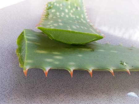 aloe vera for scalp psoriasis