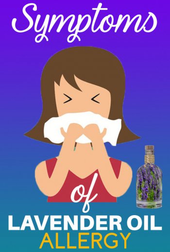 lavender oil allergy symptoms