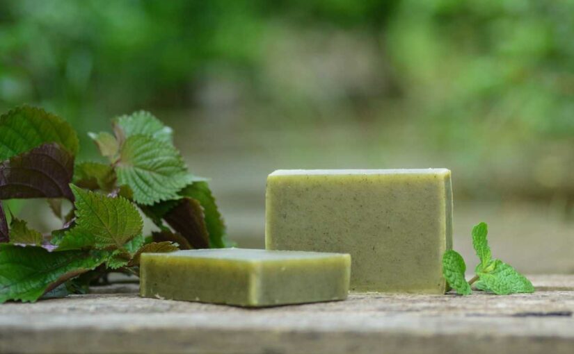 DIY Aloe Vera Soap: A Step-by-Step Guide to Make Soap at Home